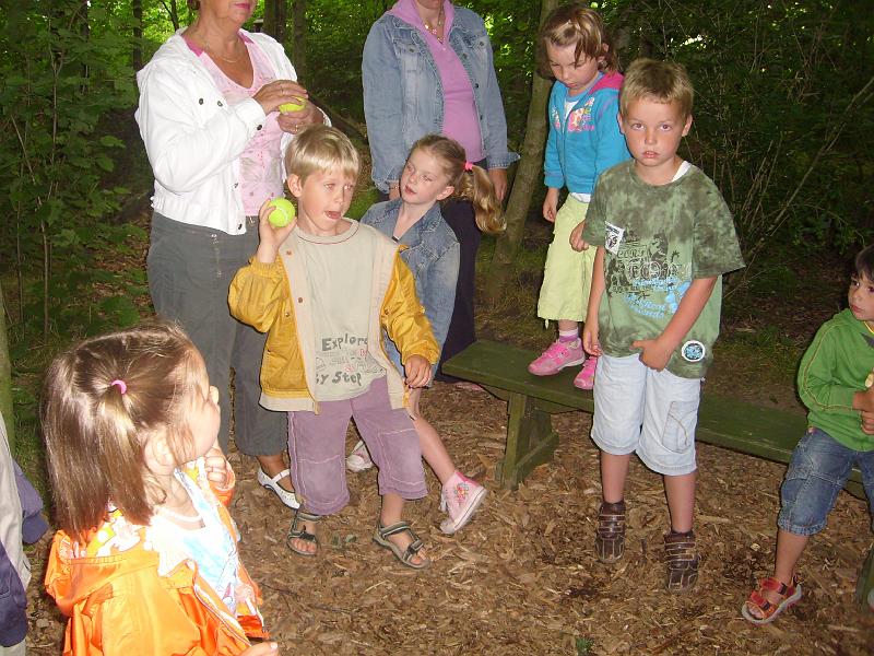 070612 skoalreiske beukers 019.jpg